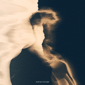 又爽又黄又无遮挡网站
