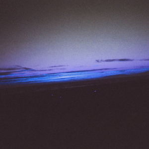 又爽又黄又无遮挡网站
