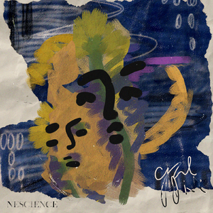 又爽又黄又无遮挡网站
