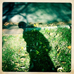 又爽又黄又无遮挡网站
