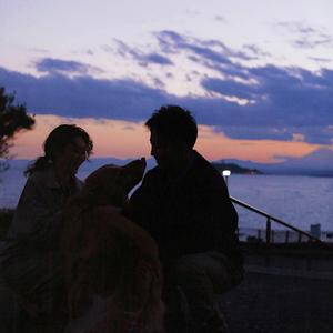 又爽又黄又无遮挡网站
