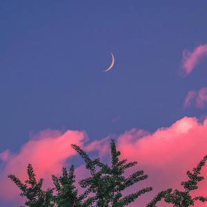 又爽又黄又无遮挡网站
