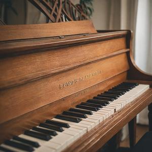 又爽又黄又无遮挡网站
